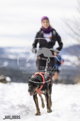 _MG_0321