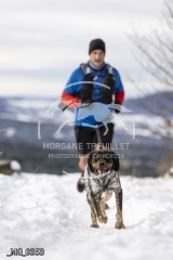 _MG_0353
