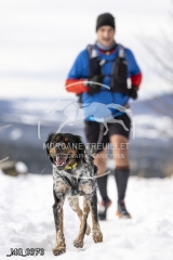 _MG_0370