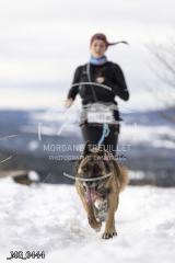 _MG_0444