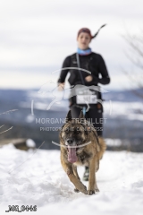 _MG_0446