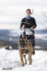 _MG_0448