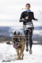 _MG_0454