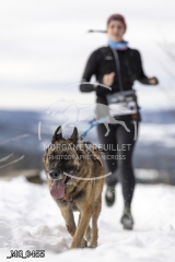 _MG_0455