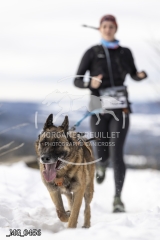_MG_0456