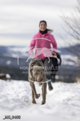 _MG_0488