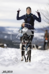 _MG_0519