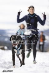 _MG_0528