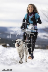 _MG_0548