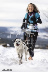 _MG_0549