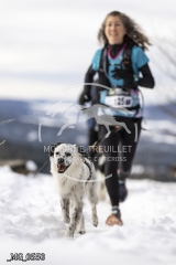 _MG_0550