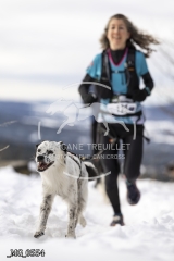 _MG_0554