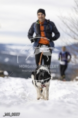 _MG_0557