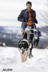 _MG_0566