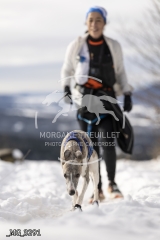 _MG_3291