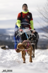 _MG_3566