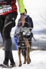 _MG_3573