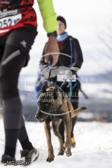 _MG_3576