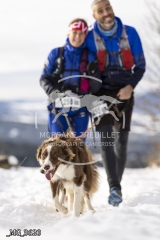 _MG_3620