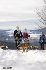 _MG_3629