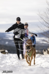 _MG_3660