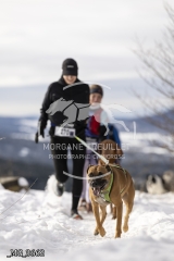 _MG_3662