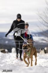 _MG_3665