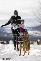 _MG_3667