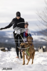 _MG_3668