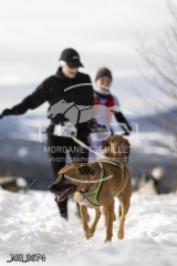 _MG_3674
