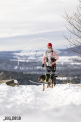 _MG_3818