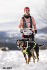 _MG_3852