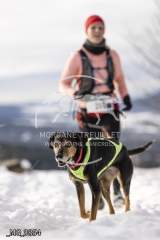 _MG_3854
