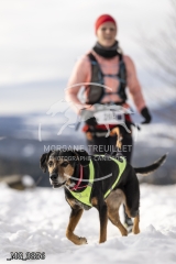 _MG_3856