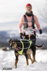 _MG_3858