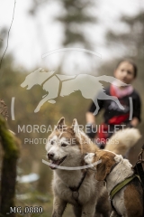 _MG_0880