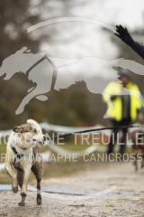 _MG_1100