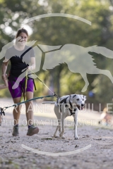 5066