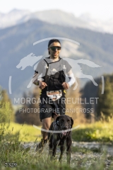 7329