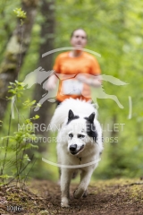 1006