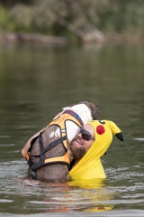 0972