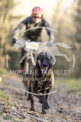 4077