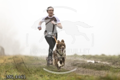 _MG_4461