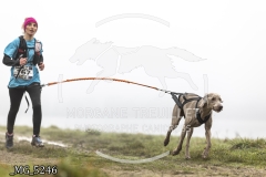 _MG_5246