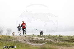 _MG_5388