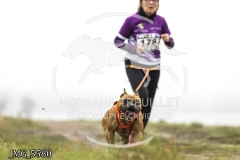 _MG_5580