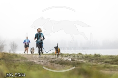 _MG_5584