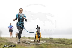 _MG_5599