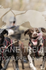7995