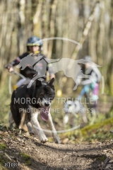 8108